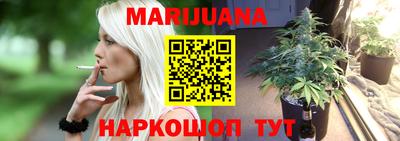 индика Пугачёв