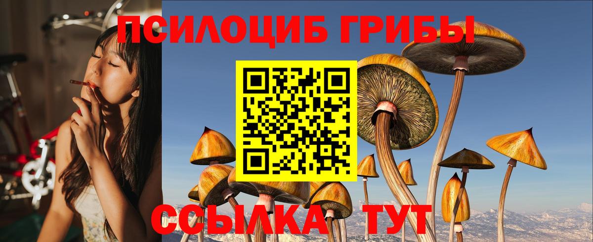Псилоцибиновые грибы Psilocybe Рославль