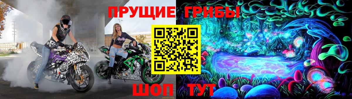 Рославль  Псилоцибиновые грибы Psilocybine cubensis  Вход с VPN 